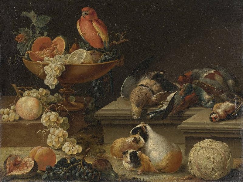 Still life with a Parrot, Johann kupetzky